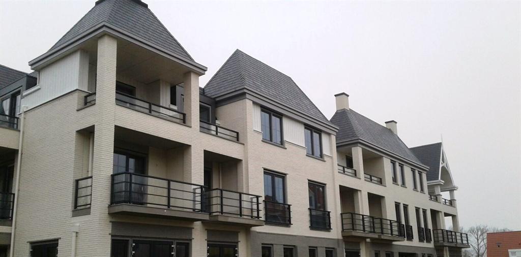 Glazen-balkonhekken-Franse-balkonhekken-met-regels-Dishoek-Cepu-Constructions.jpg